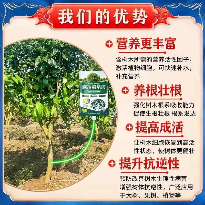 大树营养液吊针袋果树移栽树木激无机肥