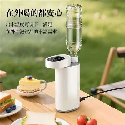 便携式即热饮水机家用小型桌面台式速热电热水壶直饮净水机饮水器