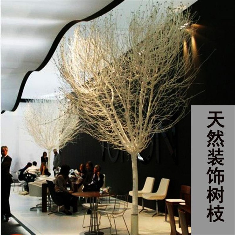 干树枝干枝白色树干许愿树橱窗枯树杆婚庆路引道具装饰落地摆件树