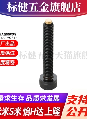 M思米CBCP3/4/5/6/8-10/15/20/30/40内六角止动螺丝 螺栓型