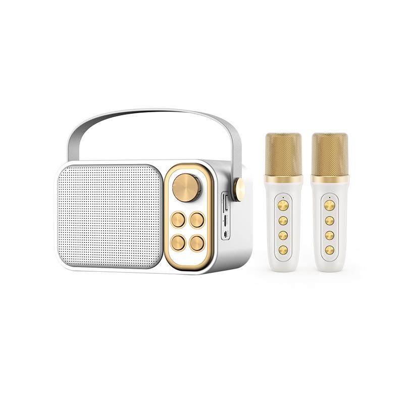 YS105 热销卡拉OK套装 K歌音响 无线蓝牙 双麦克风音箱话筒一体机