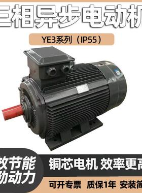 YE2三相异步电动机30KW变频电机YE3风机380V铜线交流YX3 水泵电机