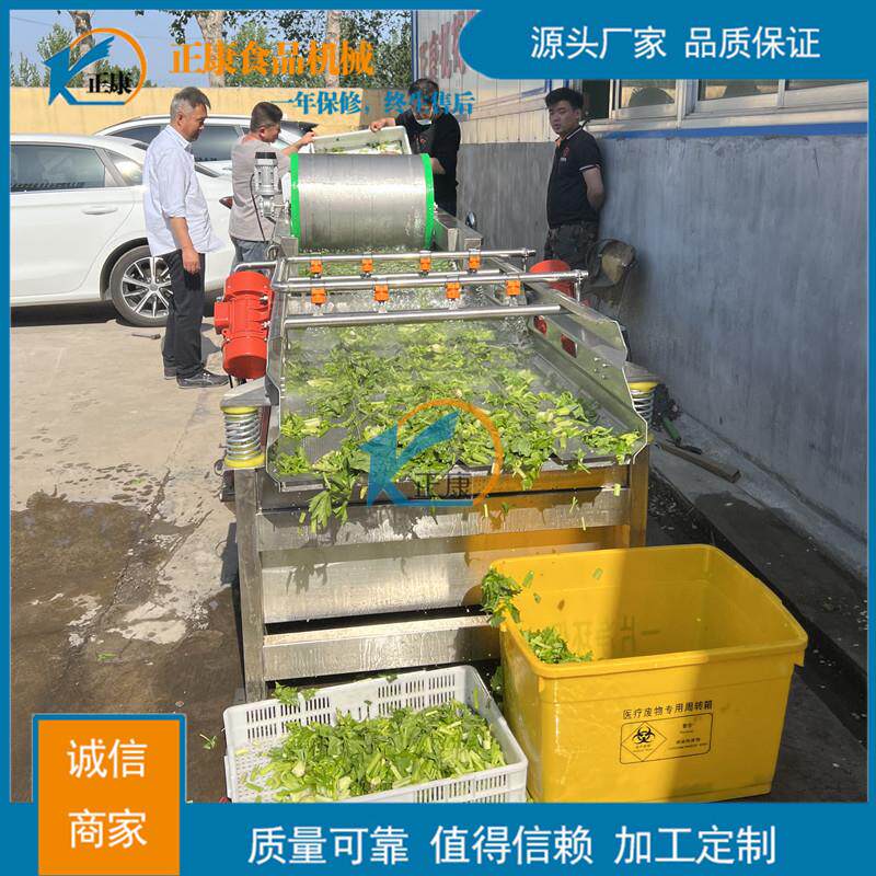 黑豆黑米小颗粒粮食清洗机涡流连续式清洗机果蔬去泥洗菜机