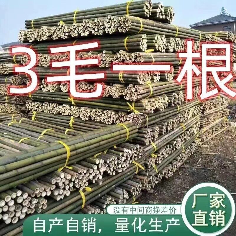 竹竿菜园搭架爬藤架杆竹竿棍竹竿支撑杆搭架子竹竿4米长竹竿竹竿