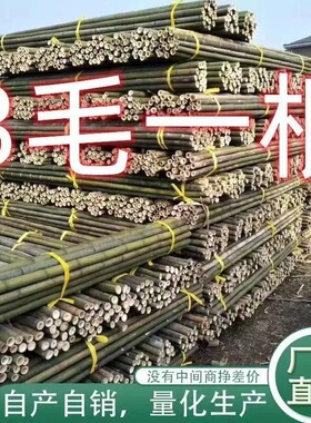 竹竿菜园搭架爬藤架杆竹竿棍竹竿支撑杆搭架子竹竿4米长竹竿竹竿