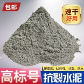 水泥砂浆快干水泥填缝堵漏王家用地面修补砂浆胶抗裂砂浆速干水泥