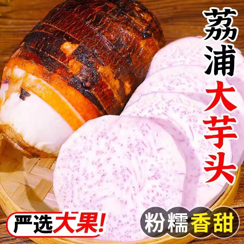 广西荔浦大芋头新鲜蔬粉香软糯荔浦新鲜芋头现挖大果桂林特产香芋
