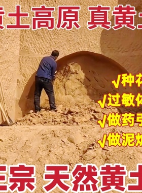 正宗黄土高原黄土天然土壤田园土种植养殖宝宝小孩玩耍泥巴黄土泥