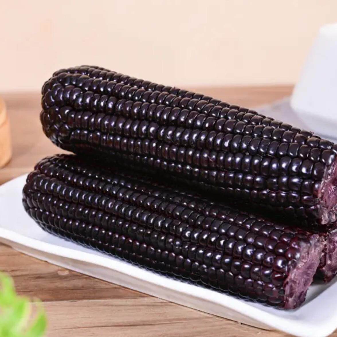 【笨恰恰】新鲜头茬东北黑糯玉米10棒真空包装代餐甜糯玉米棒粗粮