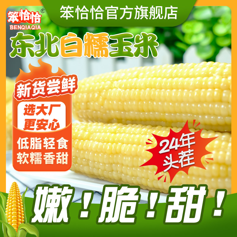 东北白糯玉米260g*8支真空包装新玉米粘糯玉米棒苞米非即食现摘