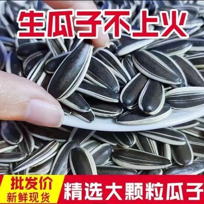 生瓜子葵花籽新货鲜363特大颗粒散装毛嗑葵花籽现炒原味葵花瓜子