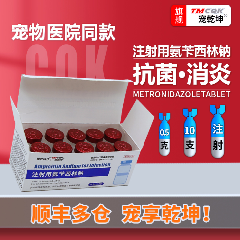 宠乾坤注射用氨苄西林钠消炎药