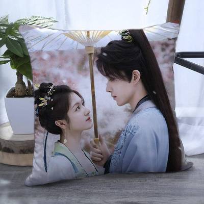 朝雪录双面抱枕敖瑞鹏李兰迪周边照片带枕芯靠枕靠垫枕头礼物定制