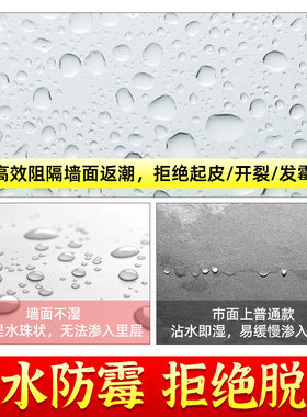 补墙膏墙面修补白色家用内外墙修复防水防潮防霉防起皮脱落腻子膏
