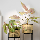 Na家花房仿真假绿植室内客厅茶几桌面摆件家居装 饰品仿生植物盆栽