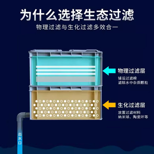 养龟箱生态缸大型过滤器龟箱家用鱼缸大乌龟缸混合养周转箱免换水