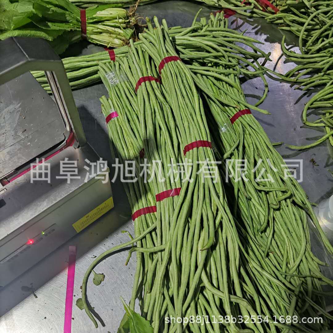 豆角芹菜绑捆机 水果纸箱打包绳机器 檀香铅笔不锈钢捆扎机