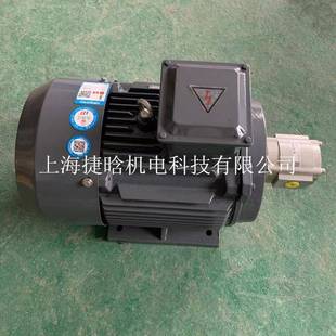 47.5kw油泵电动机 4油压马达Y132M 柱塞油泵电机YE2B 132M