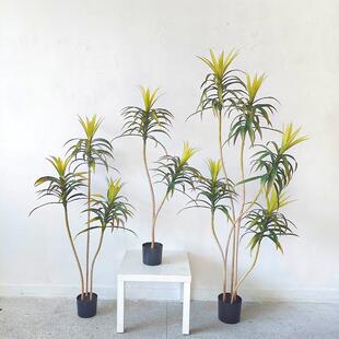 常青仿真植物装饰假绿植盆栽摆件软装新款仿真狭叶龙舌兰丝兰树