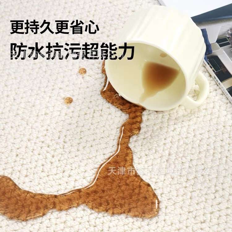 防水抗污奶油风纯色菠萝圈硅藻丝客厅地毯高级感客厅卧室茶几地垫