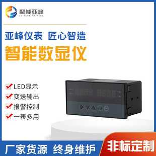 20mA显示 智能数显仪多通道流量积算仪声光报警仪就地显示仪远传4
