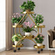 花架子客厅落地式 新款 置物架阳台多层铁艺绿萝植物摆放花盆花架