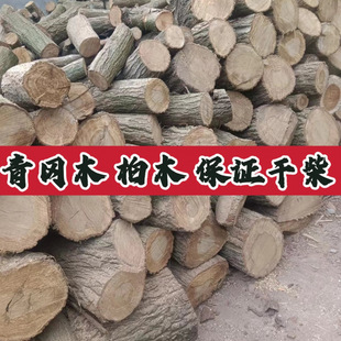 青冈木橡木树柴火果栎木枣木松木柴烤烧火干头户外篝火壁炉野炊?