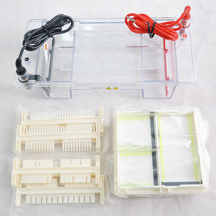 北京六一DYCP-31DN型琼脂糖水平电泳仪小号实验室核酸电泳槽