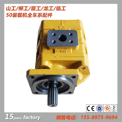 供应徐工装载机配件  CBGJ3125工作泵  仓库直销  一件待发