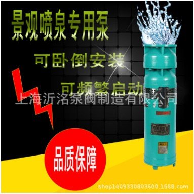 A沂洺 QSP(F)喷泉泵 不锈钢音乐喷泉潜水泵 清水泵QSP40-8-1.5