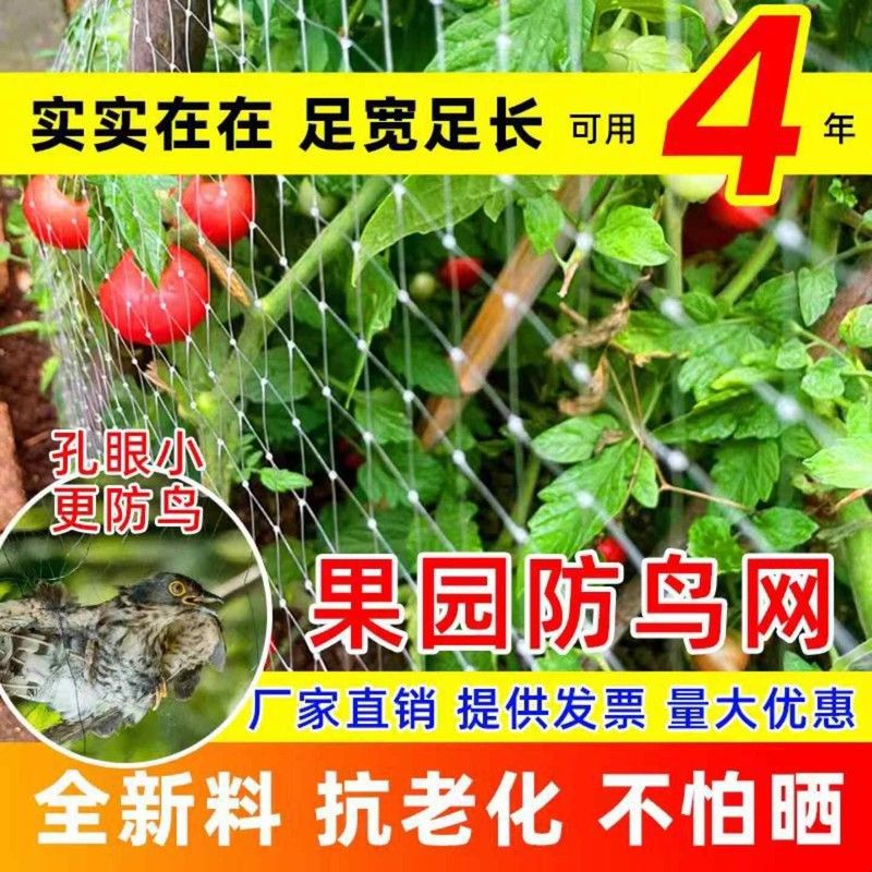 果树鸟防护网防止麻雀吃果子的网葡萄枇杷杨梅蓝莓防鸟用纱网网罩图片