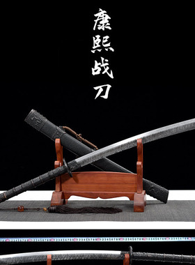 侍诚宝刀花纹钢战刀武术唐横刀