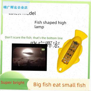 可视锚鱼a高灯浮漂水影可视高灯夜视浮漂超高亮度深水浑水诱鱼浮l