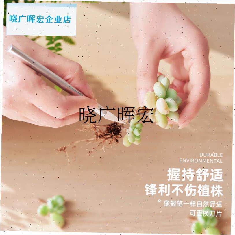 多肉工具套装g专用植物园艺盆栽修根嫁接刀多肉砍头新手种植铲土l