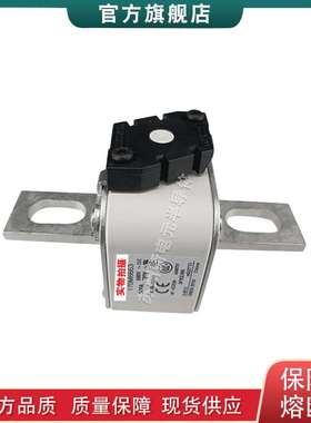 170M6600 6629 6652 6653 6681 巴斯曼bussmann快速熔断器保险丝