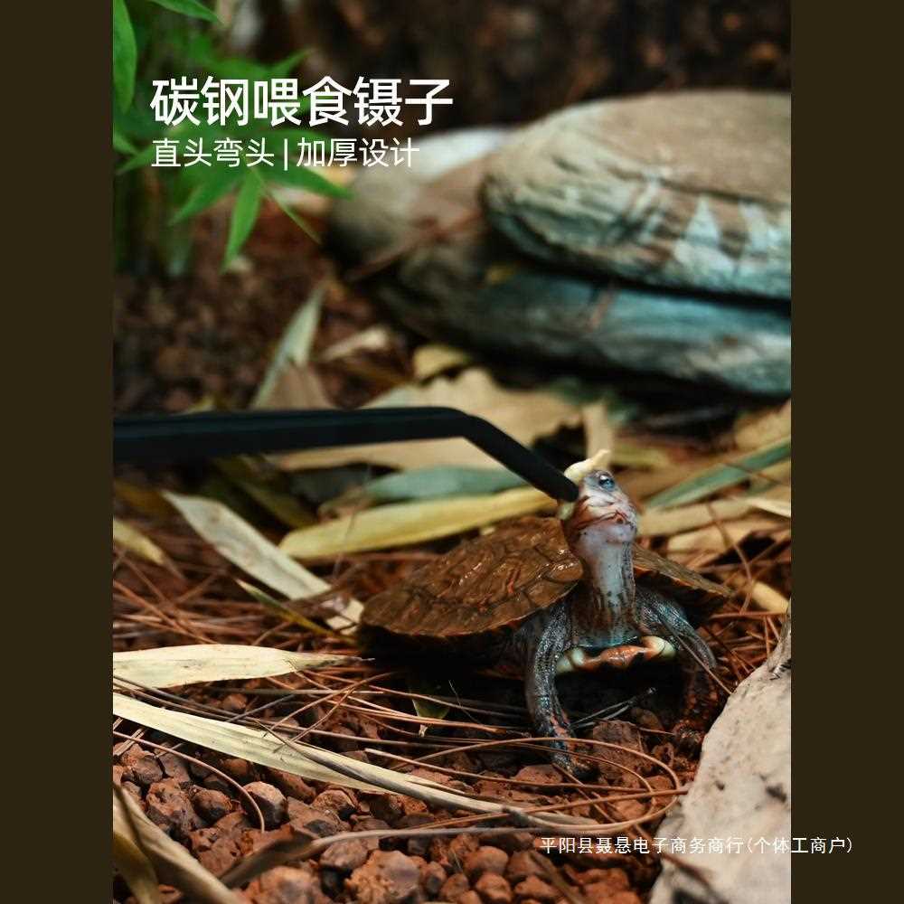 乌龟不锈钢喂食镊子加长鱼缸爬宠守宫睫角龙鱼角蛙喂龟鱼夹虫工具