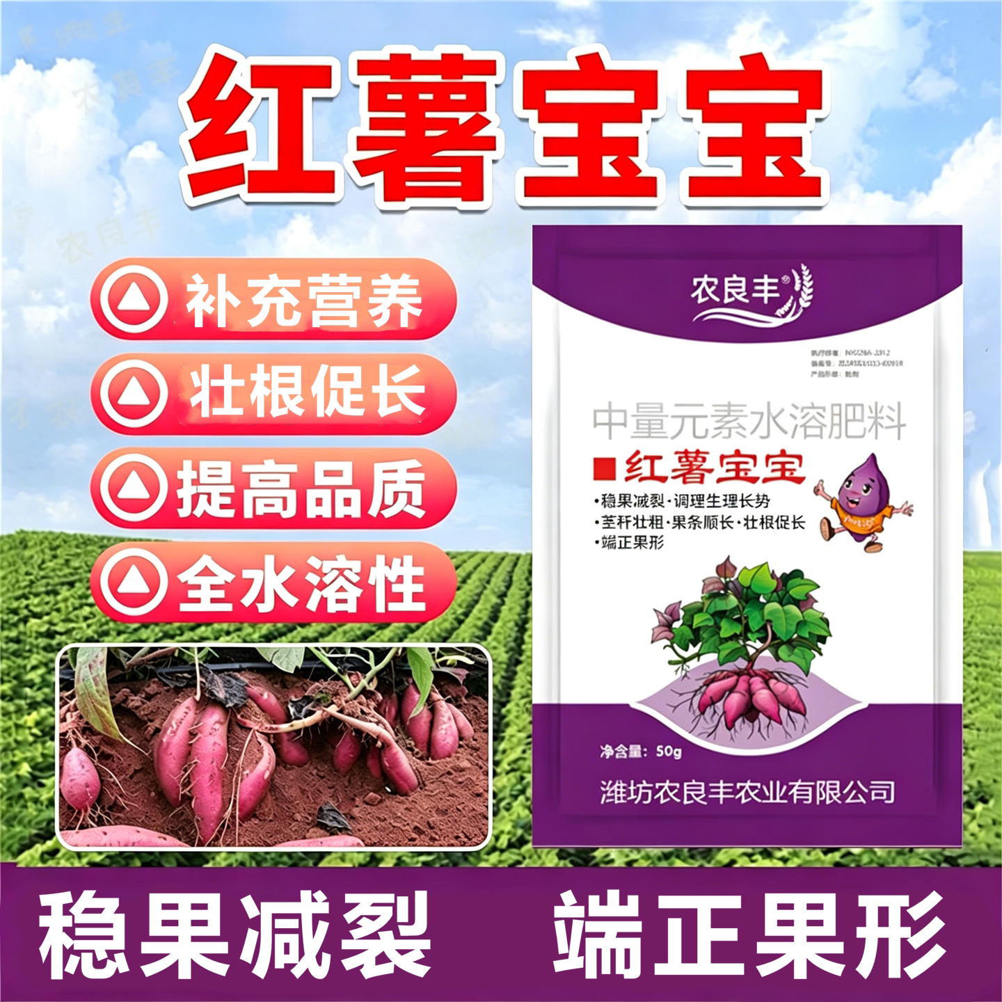 红薯专用肥中量元素增产水溶肥料