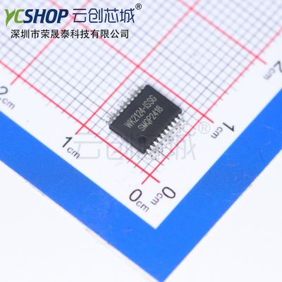 WK2124-ISSG  接口 IC SSOP-20 全新原装