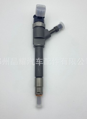 0445110250柴油共轨喷油器总成WLAA13H50喷油嘴供应质量保证