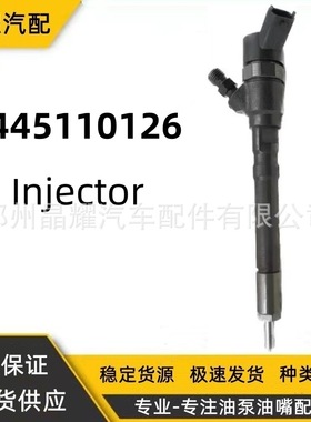 0445110126共轨喷油器0445110290喷油嘴适用现代dai等车型供
