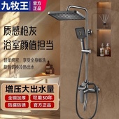 九牧王全铜枪灰淋浴花洒套装 家用卫浴卫生间淋雨浴室洗澡增压喷头