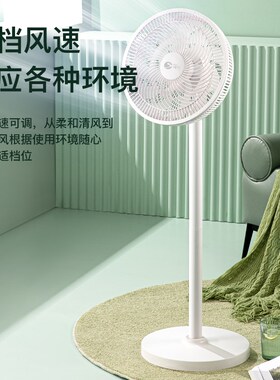 世纪SEGI直流电风扇落地式家用遥控大风力静音变频电风扇省电节能