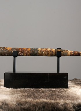 新中式装饰玄关电视柜饰品天然异型直角螺开业乔迁礼物摆放送礼