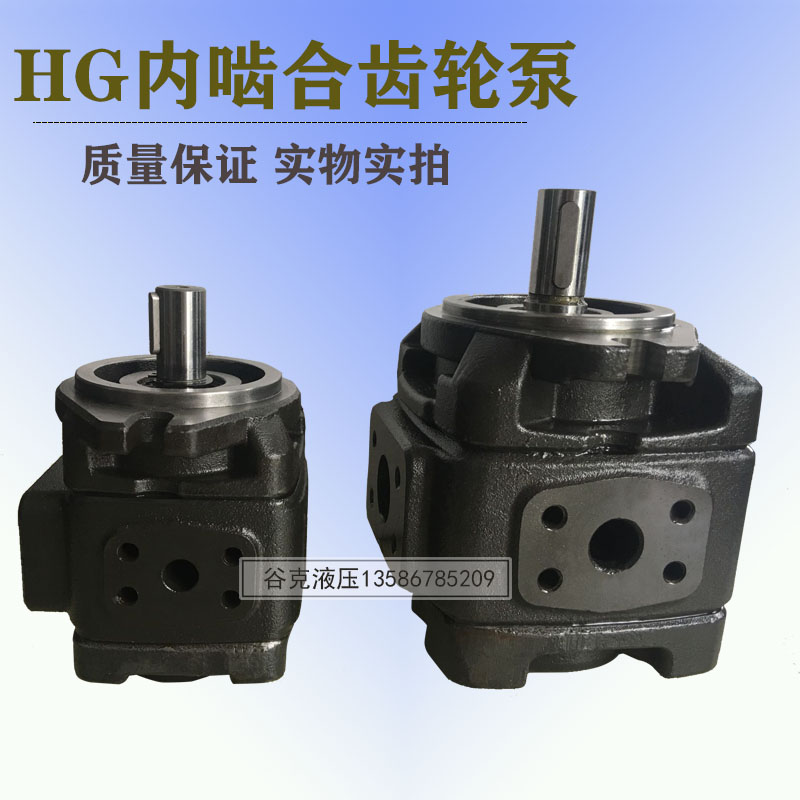 内啮合齿轮泵HG0-8 10 13 16 20-01R-VP鞋机注塑机伺服泵液压油泵