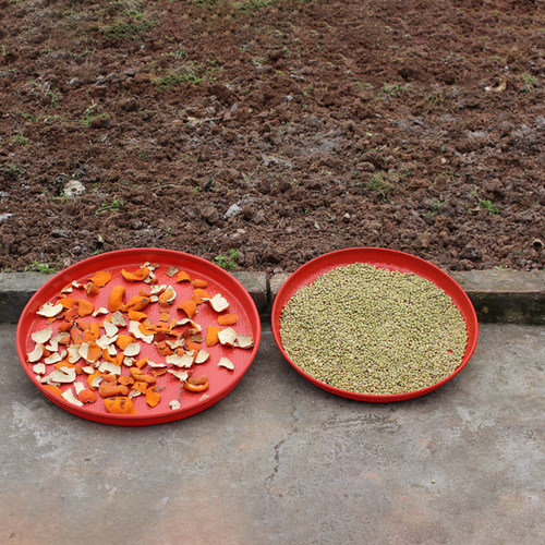 仿竹编塑料晾晒簸箕筛子厚实耐用粗孔细孔千孔筛谷物杂粮芝麻菜籽