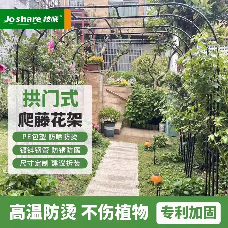 枝晓 园艺拱门花架葡萄架子植物爬藤架庭院月季铁线莲攀爬支撑架