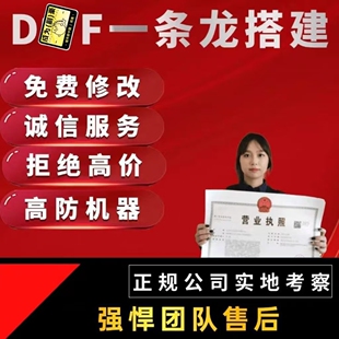 DN-oF开服一条龙版本出售DNo-F架设60-115级搭建D-NoF搭建pvf修改