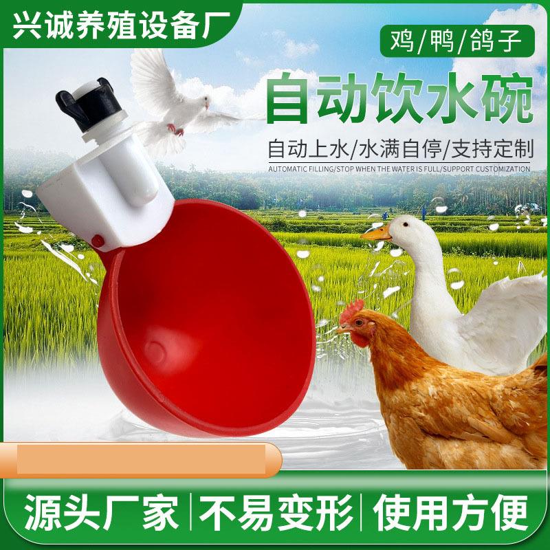 鸡鸭鹅自动饮水器家禽专用饮水碗鸟鹌鹑饮水器厂家养殖设备