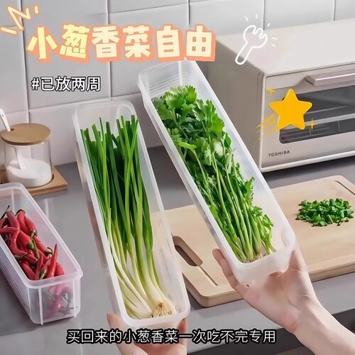 保鲜盒食品大葱香菜芫荽整根