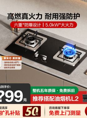 方太TH30/32B燃气灶煤气灶家用双灶台煤气罐液化天然气官方旗舰店